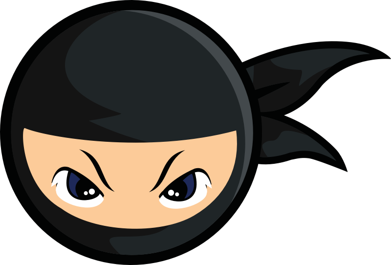 ninja logo
